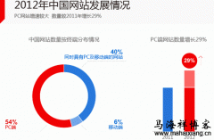 2012年中国网站发展情况及2013年网站运营发展趋势汇总